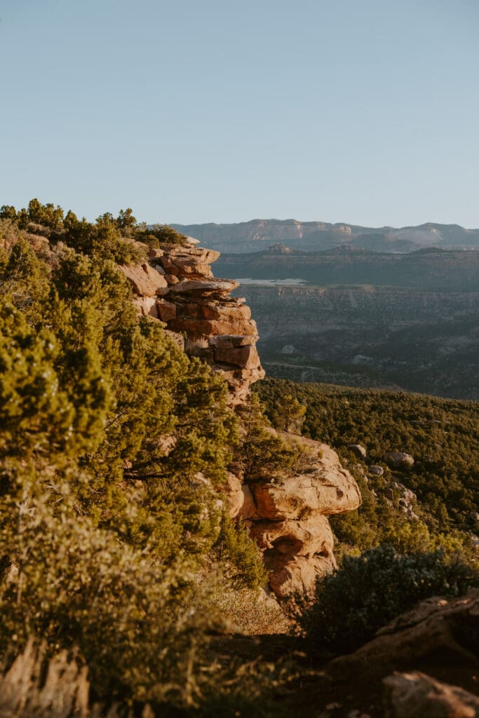 Brittney and Kade | Zion National Park Picnic Elopement | Southern Utah Wedding and Elopement Photographer, Emily Dawn Photo