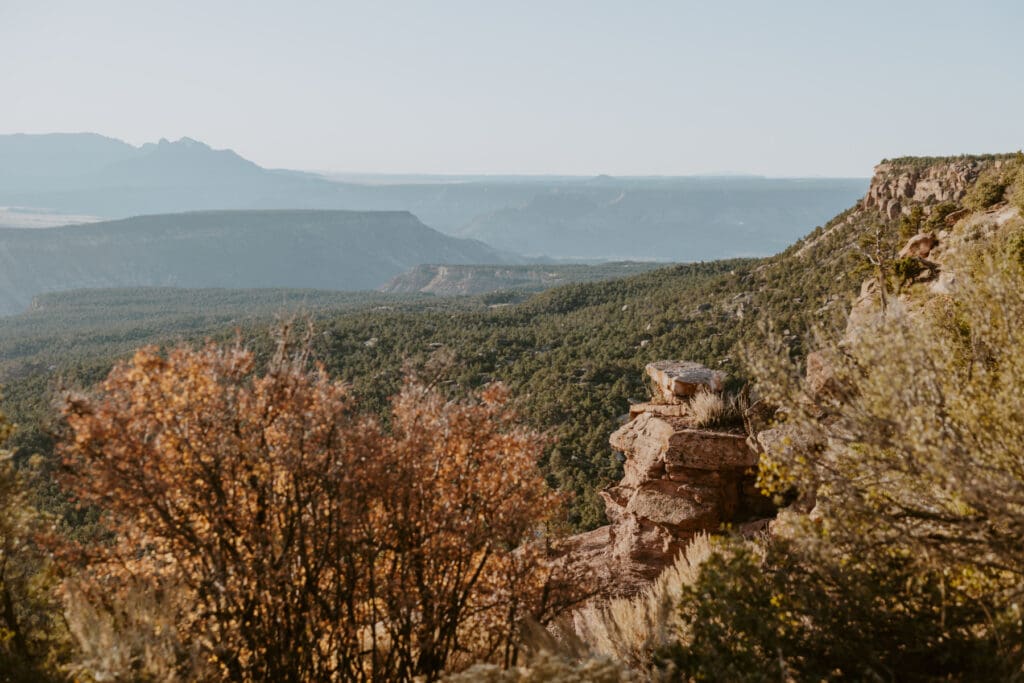 Brittney and Kade | Zion National Park Picnic Elopement | Southern Utah Wedding and Elopement Photographer, Emily Dawn Photo