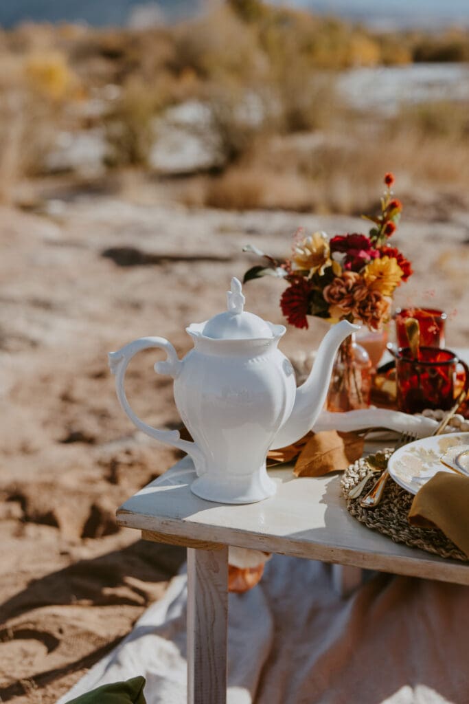 Brittney and Kade | Zion National Park Picnic Elopement | Southern Utah Wedding and Elopement Photographer, Emily Dawn Photo