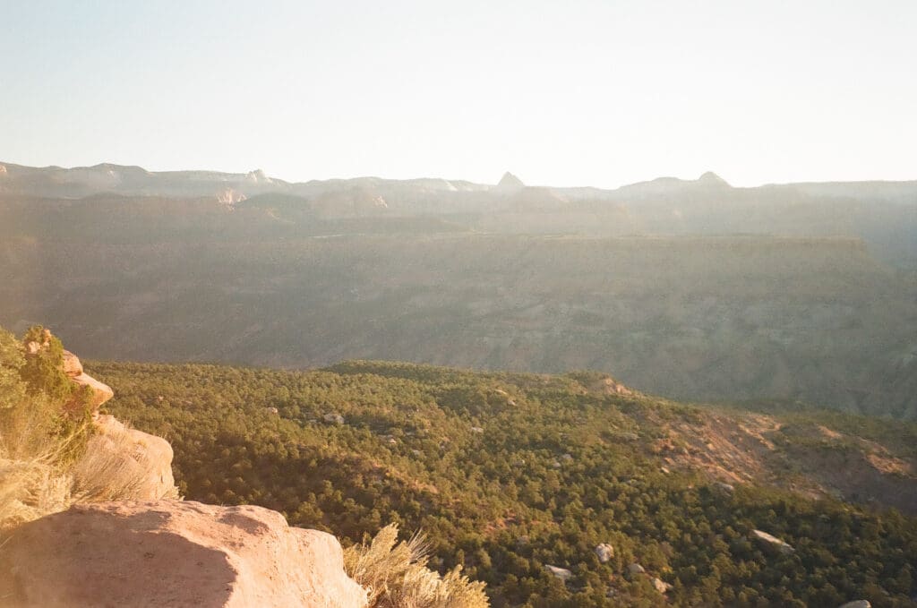 Brittney and Kade | Zion National Park Picnic Elopement | Southern Utah Wedding and Elopement Photographer, Emily Dawn Photo