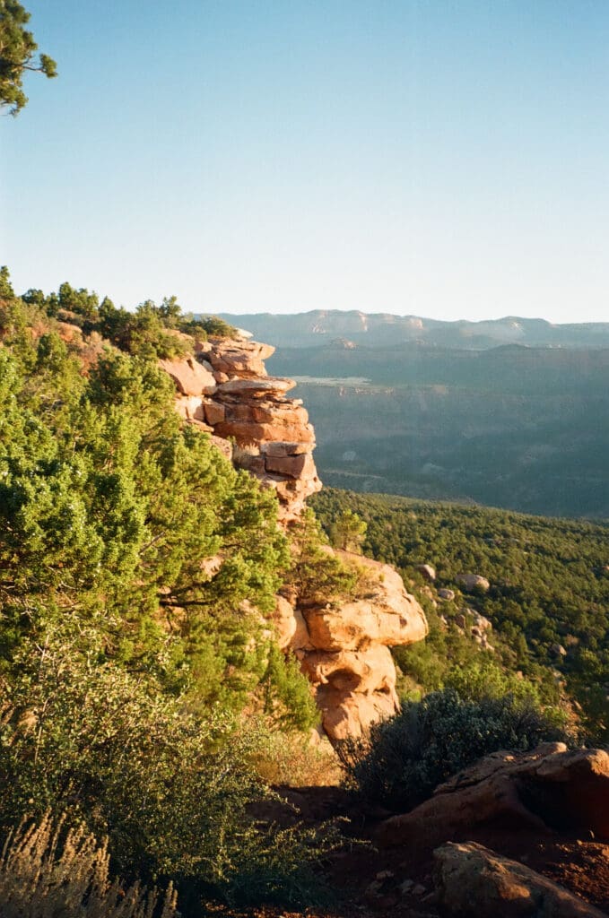Brittney and Kade | Zion National Park Picnic Elopement | Southern Utah Wedding and Elopement Photographer, Emily Dawn Photo